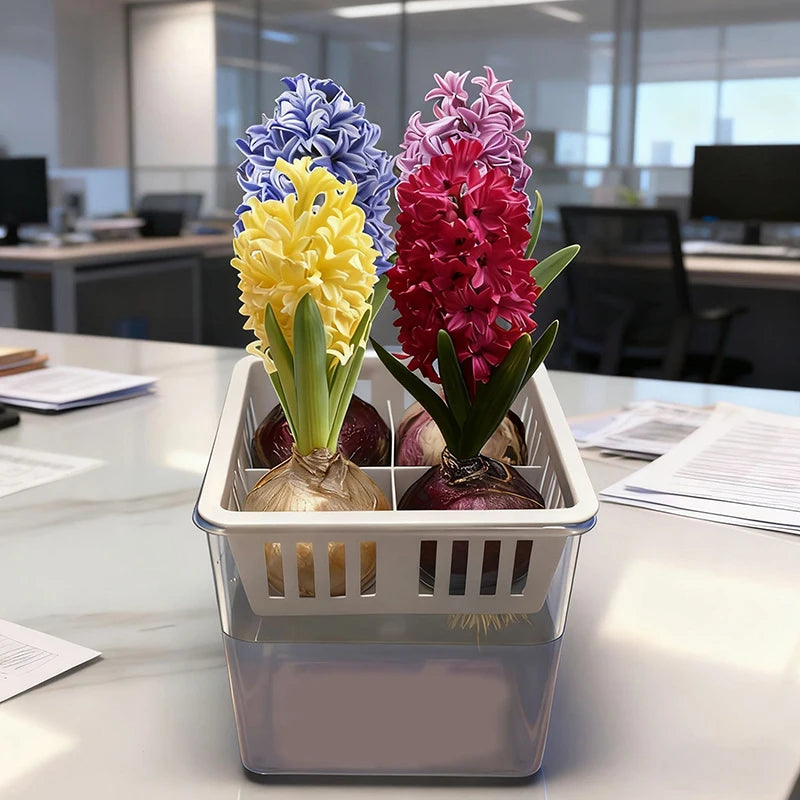 Absorption Self Watering Planter Pot Transparent Self Watering Plant Pot Double Layer Plastic Flowerpot Automatic Water